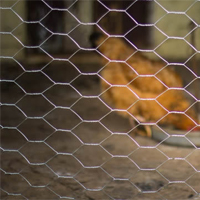 Chicken Wire + Hardware Cloth