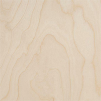 Birch Plywood