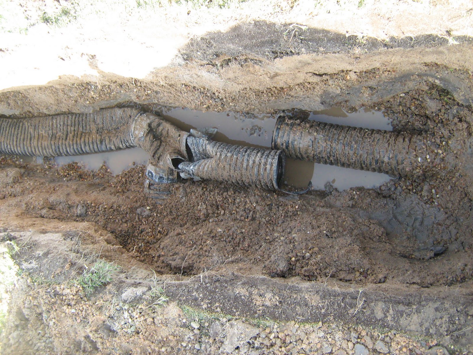 HYDRO CLASSIC DRAIN PNL 4'X50'