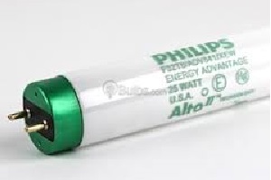 SYL 25W T12 48" COOL WHT FLUORES