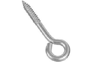 5/16 X 4" SCREW EYE SS EA