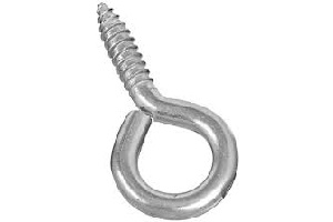 7/8 X 2" SCREW EYE STNLS STL EA