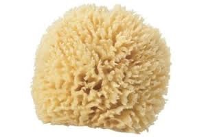 FAUX NATURAL SEA WOOL SPONGE