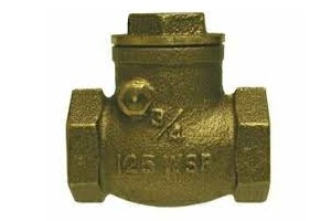 1/2"IPS BRASS 200PSI CHECK VALVE