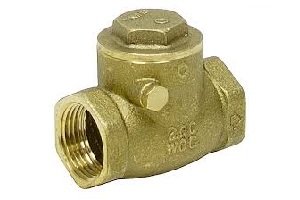 1" IPS BRASS 200PSI CHECK VALVE