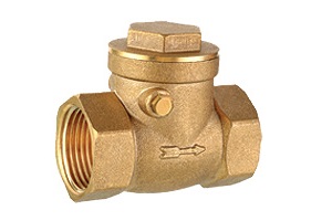 BRASS CHECK VALVE 1/4NPT