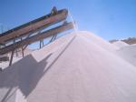 #30 SILICA SAND *50 LB*