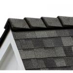8" RIDGE CAP 20LF ONYX BLACK