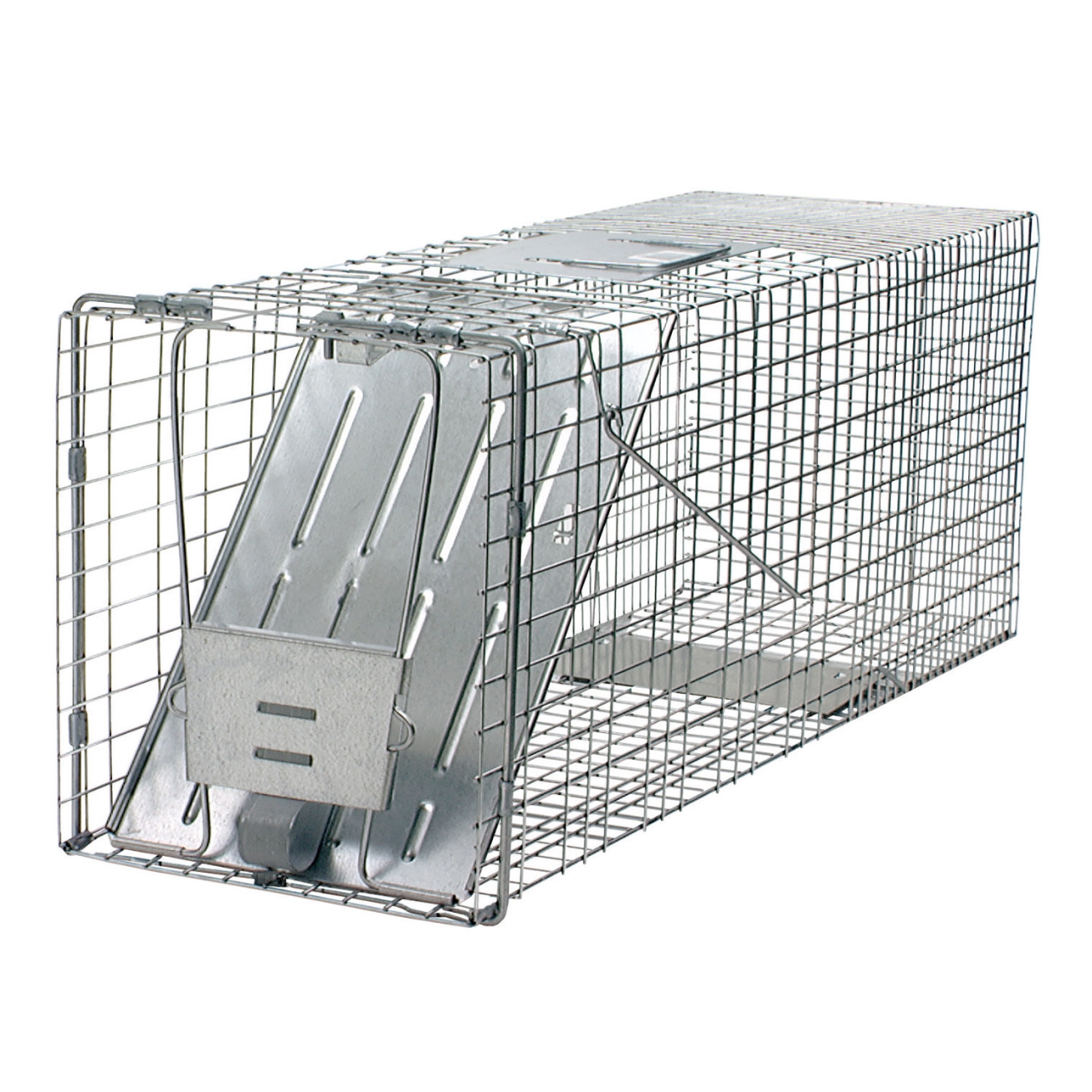 ANIMAL CAPTURE CAGES
