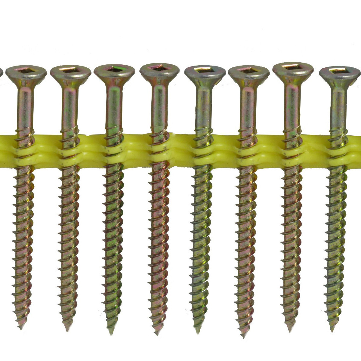 COLLATED DRILL DRIVE SREWS