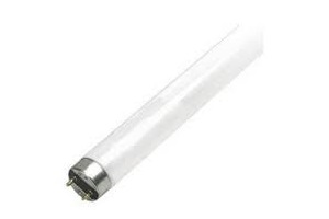 SYL 32W T8 48" SPECTRUM FLUORES