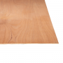 1/8" (2.7mm)&nbsp;&nbsp;4' x 8' Mahogany Plywood