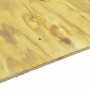 23/32" 4' x 8' CDX Plywood Pressure-Treated .40